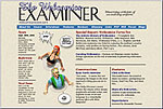 Webcomics Examiner